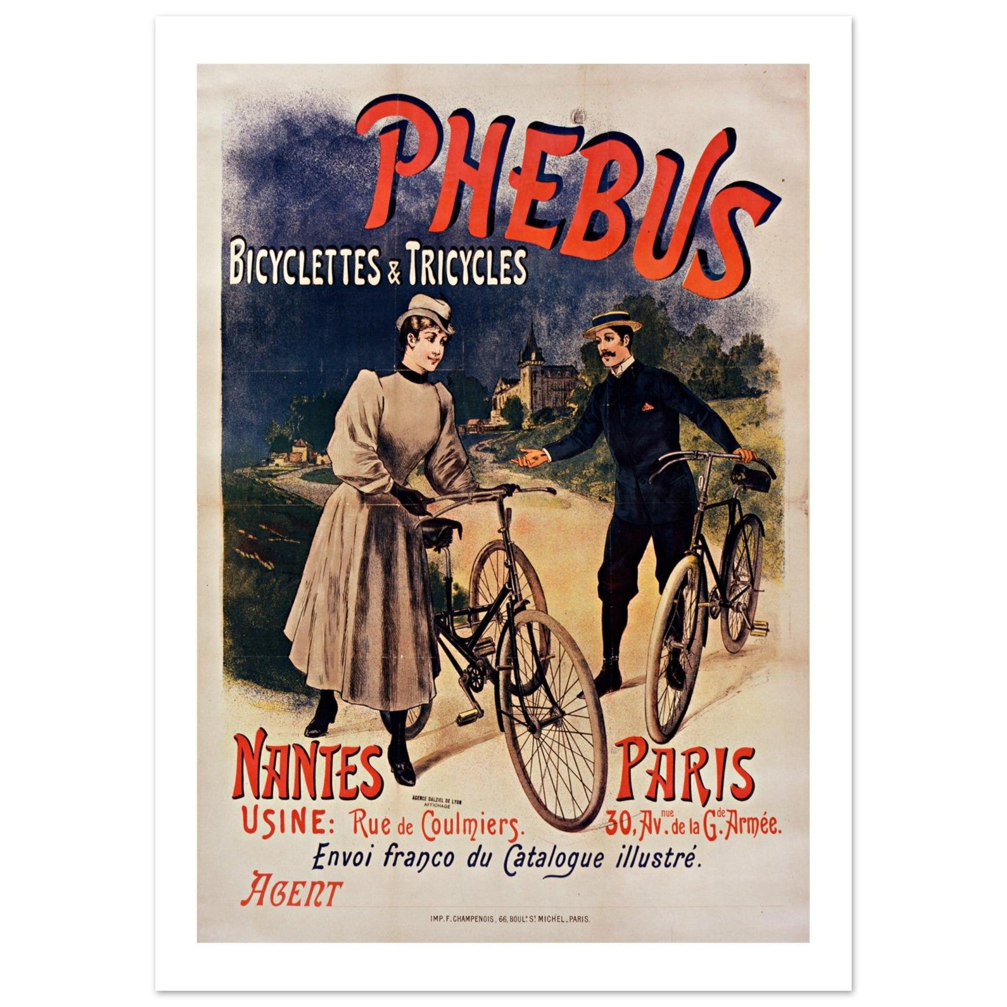 Vintage Phebus Bicycles and Tricycles Poster - Transit Art