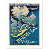 d6a6b981-b25e-4175-8402-57f9a7ee6943