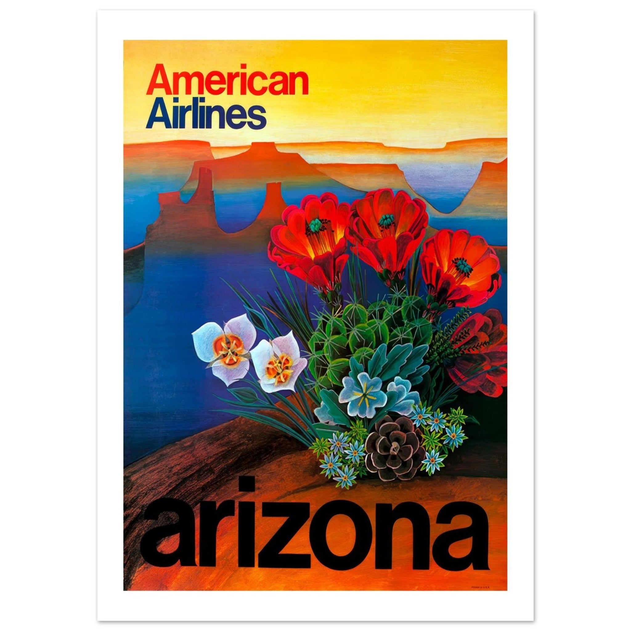 Vibrant American Airlines Poster Showcasing Arizona's Desert Beauty - Transit Art