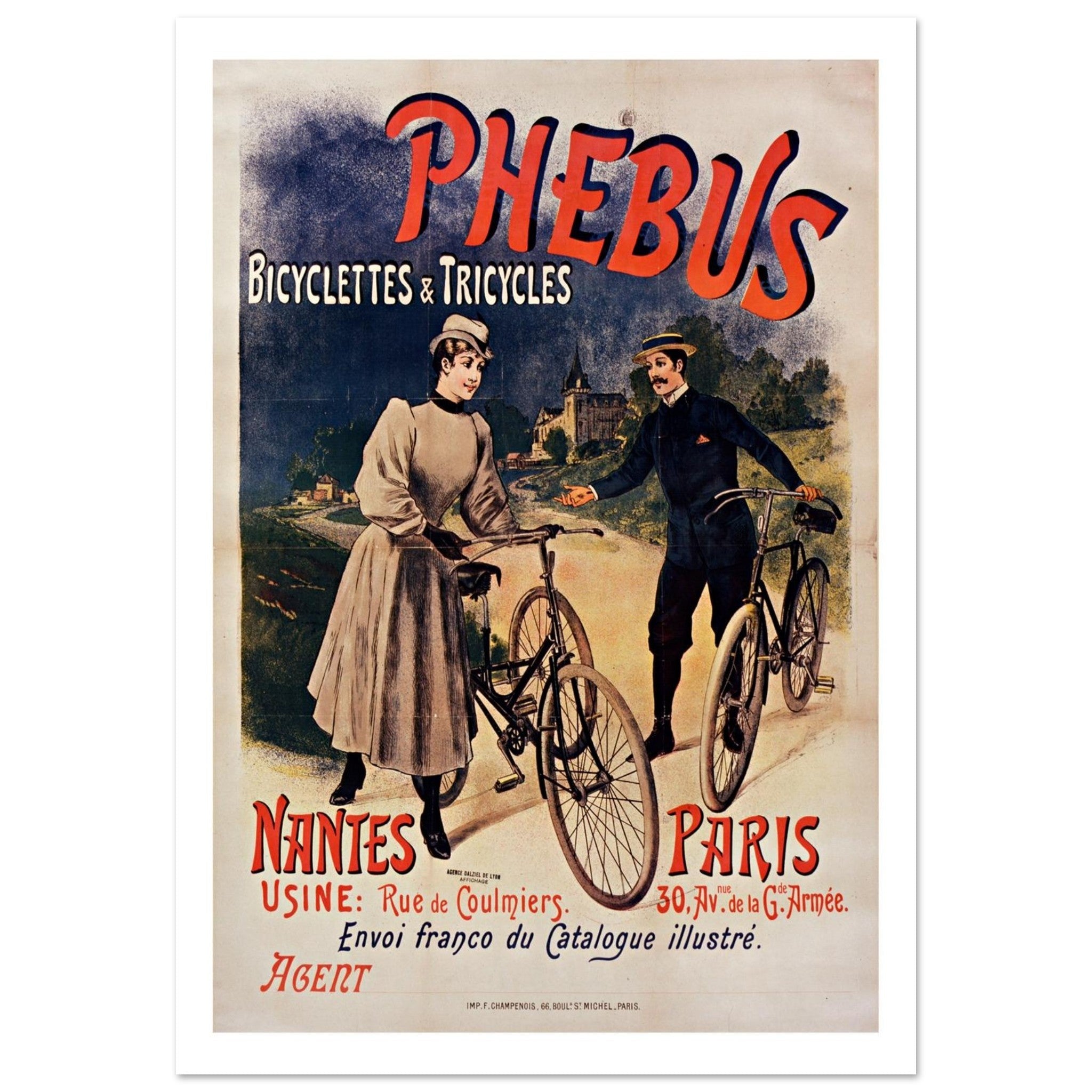 Vintage Phebus Bicycles and Tricycles Poster - Transit Art